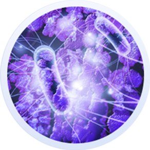 Giảm béo cấu trúc đa công nghệ