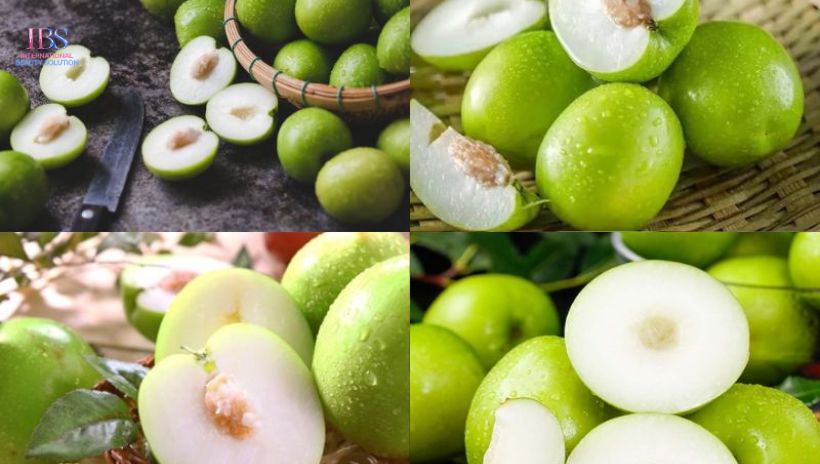 Phân Tích Thành Phần Dinh Dưỡng Vượt Trội Của Táo Ta