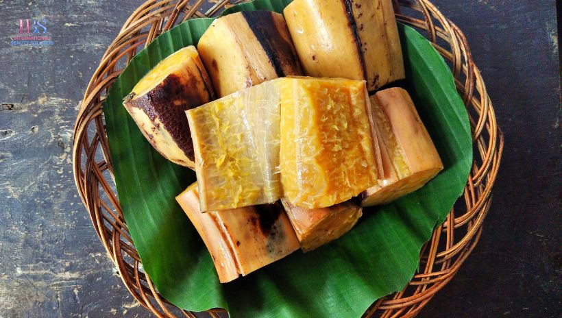 Chuối Sáp Luộc Và Hành Trình Lấy Lại Vóc Dáng Tại IBS