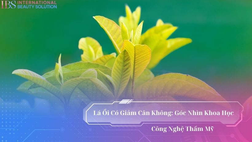 Lá ổi có giảm cân không